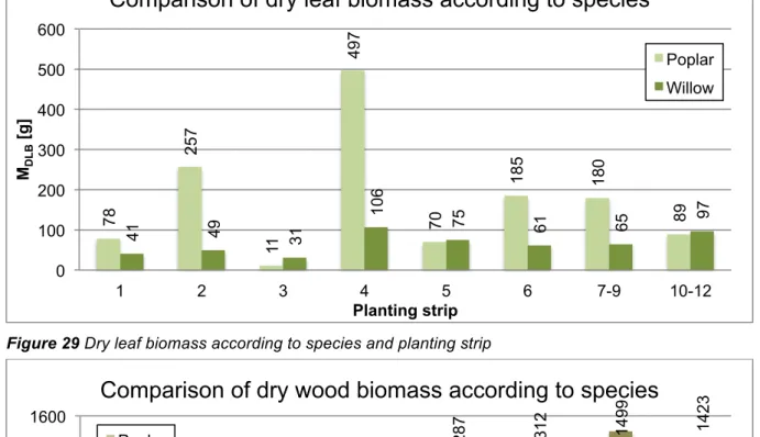 Figure 29 Dry leaf biomass according to species and planting strip 