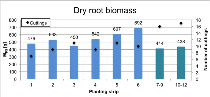 Figure 32 Total dry root biomass extracted from the planting strips 
