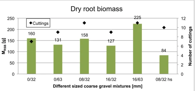 Figure 37 Total dry root biomass found in different sized gravel mixtures  