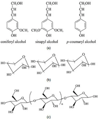 Figure 1. Chemical structure of lignocellulosic material; (a) Building blocks/units of  Lignin; (b) Xylose unit of hemicellulose; and (c) One chain of Cellulose polymer  