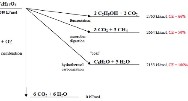 Figure 4. A comparison of different energy exploitation routes for carbohydrates  (A. Lilliestrale, 2007) 