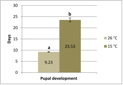 Figure  14.  Effect  of  storage  of  puparia  at  15  °C  on  the  pupal  development  of  E