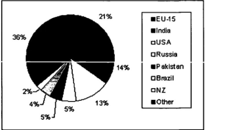Figure 2: Shares of the top 6 dairy producers (+ New Zealand) on world production in  the year 2004 