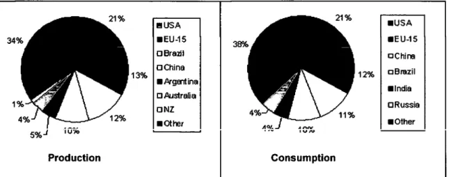 Figure 5: Shares of the top 6 beef producers (+ New Zealand) and consumers on world  production and consumption in 2003 