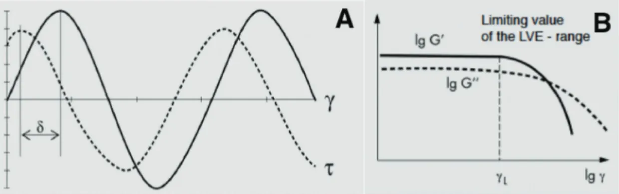 Figure 11 Sine curves of preset deformation and resulting stress in rheometry (A),   linear viscoelastic range (B) (S