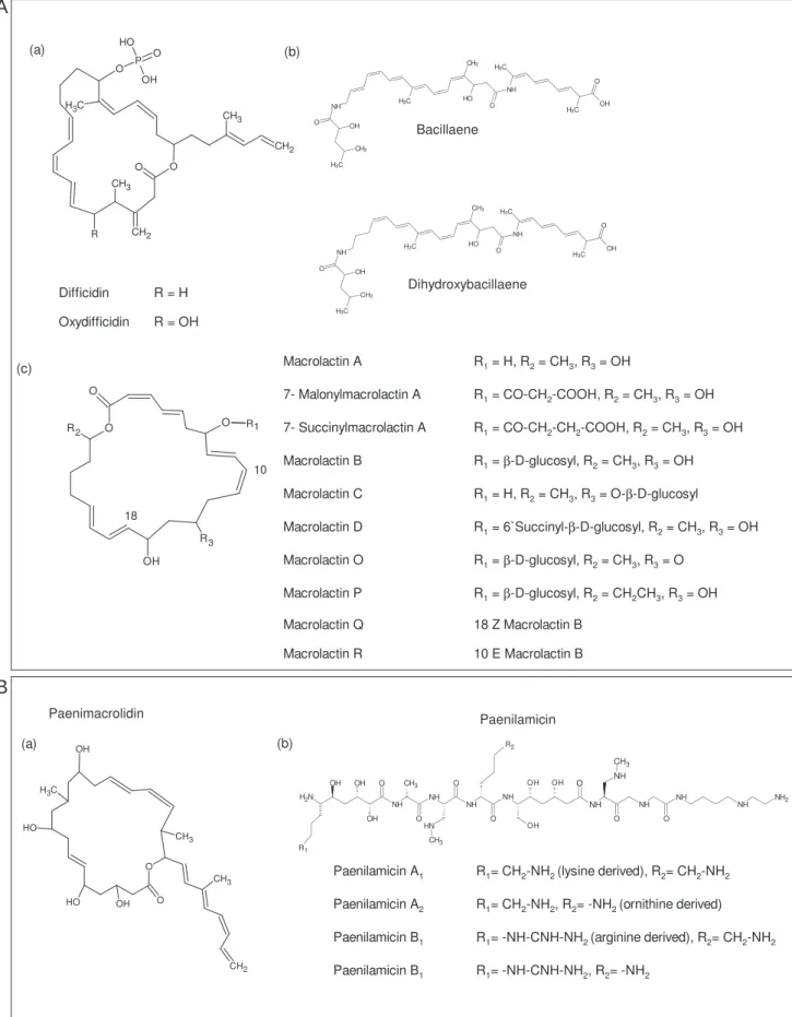 Fig. 2.Chemical structures of polyketides of Bacillus and Paenibacillus. (A) Polyketides from B
