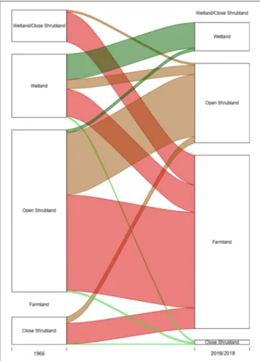 FIGURE 4 | Alluvial diagram showing changes in land use/cover between 1966 and 2016/18.