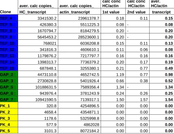 Table 40: QRT-PCR data HC transcript: Calculated copies of the heavy chain transcript   and the corresponding values of the reference gene actin 