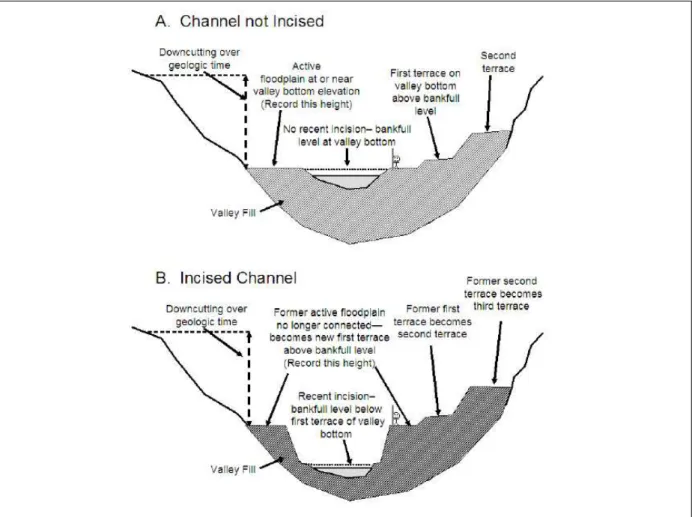 Figure 11: Schematic showing relationship between bankfull channel and incision.  