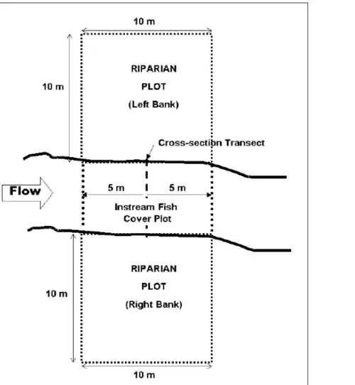 Figure  14:  Riparian  zone  and  instream  fish  cover  plots  for  a  stream  cross-section  transect