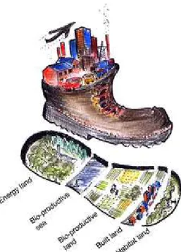 Fig.  2.2:  The  Ecological  Footprint  and  its  schematic  distribution  into  various  fields