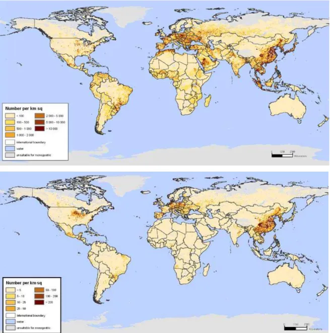 Fig.  4.1:  Global  overview  of  poultry  stocking  densities  (upper  picture)  and  hog  stocking  densities (lower picture)
