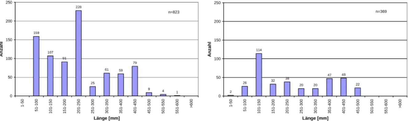 Abb.  4.1:  Längenfrequenzdiagramme  der  Äsche  des  Abschnittes  flussauf  Sachsenburg  der  Jahre  2006 (links) und 2010 (rechts) 