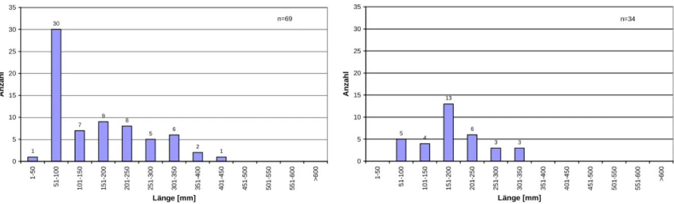 Abb. 4.5: Längenfrequenzdiagramme der Bachforelle des Abschnittes flussab Sachsenburg der Jahre  2006 (links) und 2010 (rechts) 