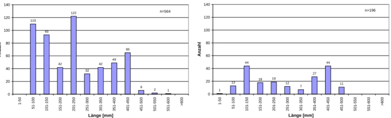 Abb. 4.7: Längenfrequenzdiagramme der Äsche des regulierten Bereiches der Jahre 2006 (links) und  2010 (rechts) 