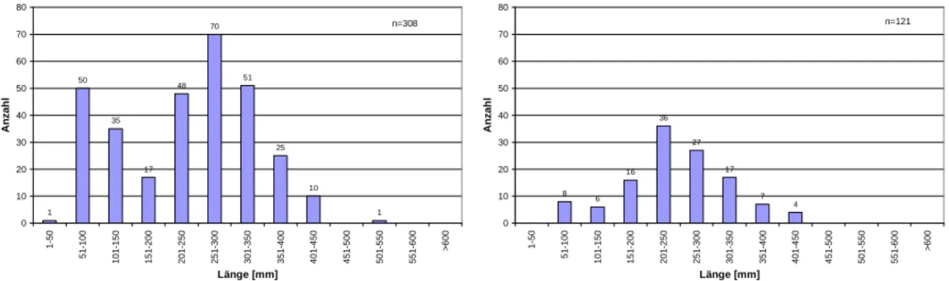 Abb.  4.9:  Längenfrequenzdiagramme  der  Regenbogenforelle  des  regulierten  Bereiches  der  Jahre  2006 (links) und 2010 (rechts) 