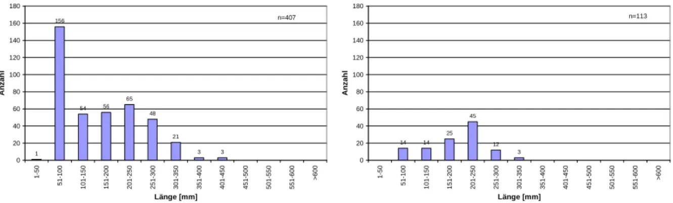Abb. 4.8: Längenfrequenzdiagramme der Bachforelle des regulierten Bereiches der Jahre 2006 (links)  und 2010 (rechts) 