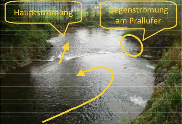 Abbildung  15-2:  Strömungsverhältnisse  bei  Mittelwasserabfluss;  Blick  in  Fließrichtung  (HUBER,  et  al., 2011) 