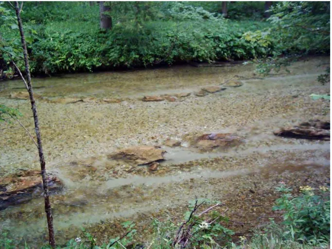 Abbildung 7-28: Strömungstrichter vom rechten Ufer aus mit deutlich erkennbarer Geschiebesortierung   (GLÜH, 2005) 