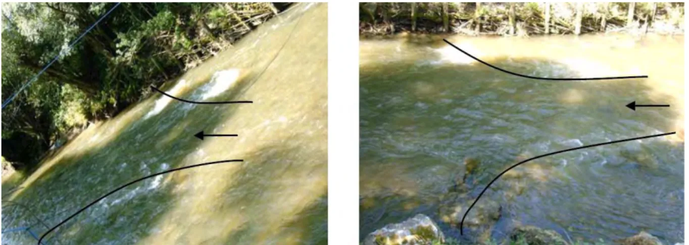 Abbildung 7-34: Stromstrichlenkung in Gewässermitte und Ausbildung vielfältiger Wasserspiegelstrukturen   (ORTNER, 2007) 