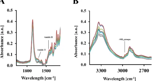 Figure 6. FTIR spectroscopy of cotton/polyester blend with immobilized HSA/SF nanocapsules