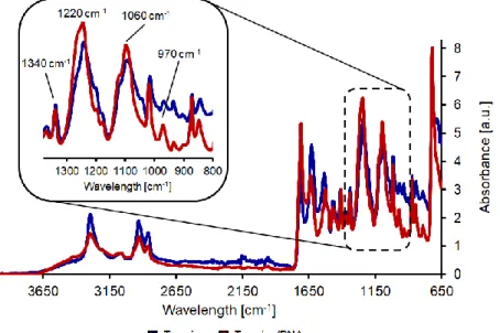 Figure 4. FT-IR analysis of hydrolyzed nylon-6 after coating with tyrosine (blue line) and after tyrosine/DNA  coupling (red line).