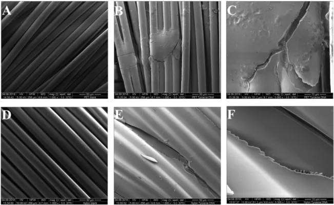 Figure  5.  Scanning  electron  microscopy  images  of  the  samples.  A) untreated  PET  1000x  magnification    B) PET_tyrosine_DNA 1000x magnification C) PET_tyrosine_DNA 5000x magnification D) untreated nylon  1000x  magnification  E)  nylon_tyrosine_D