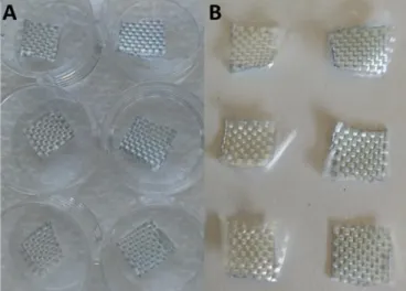 Figure S4 Samples after the treatment with acid and basic dye: A) PET blank (left) and enzymatic treated (right) after  staining with Methylene blue; B) Nylon-6 blank (left) and enzymatic treated (right) after Comassie Brillant blue staining 