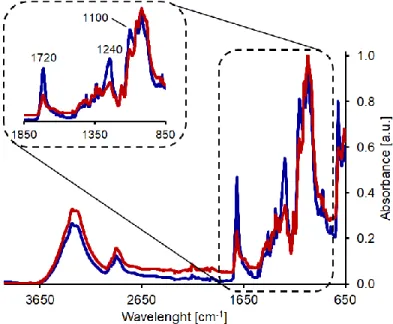 Figure 2. FT-IR spectroscopy of cotton/polyester blends. Untreated sample (blue line) and sample  after incubation with 1% HiC 48 h (red line)