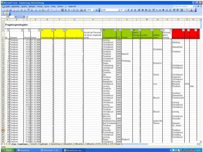 Abb. 16:  Excel Eingabemaske für die Fragebogenauswertung 