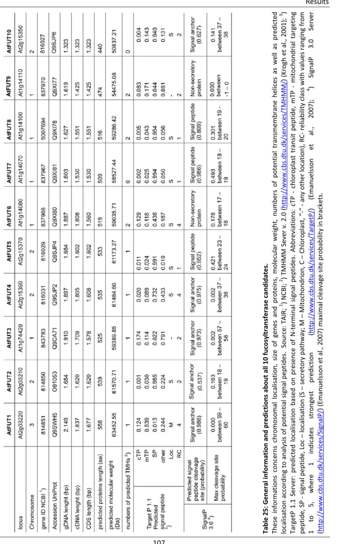Table 25: General information and predictions about all 10 fucosyltransferase candidates.  These informations concerns chromosomal localisation, size of genes and proteins, molecular weight, numbers of potential transmembrane helices as well as predicted  