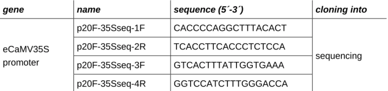 Table 9:  Primers used to sequence the cloned enhanced 35S promoter eCaMV35S after cloning into p20F. 
