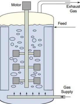 Figure  6.  Schematic  depiction  of  bioreactor.  For  optimal mixing, the tank features an agitator system as  well  as  baffles,  which  help  prevent  a  whirlpool  effect  that could hinder proper mixing