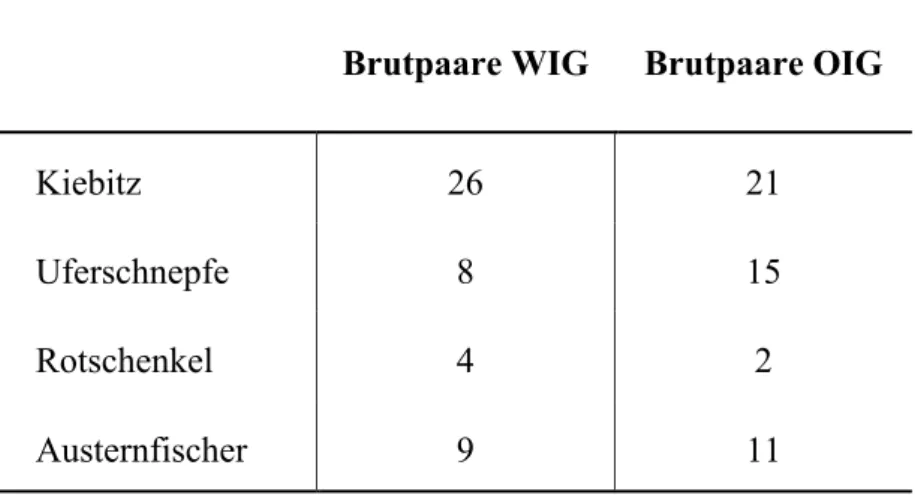 Tabelle  2.  Darstellung  der  Anzahl  an  Brutpaaren  ausgewählter  Limikolen  im  Untersuchungsgebiet  des  Westinnengrodens und Ostinnengrodens