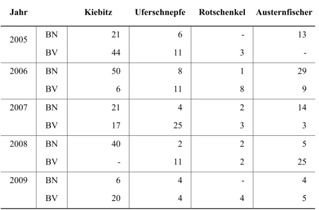 Tab. a: Brutnachweis (BN) und Brutverdacht (BV) ausgewählter Wiesenbrüter des Westinnengrodens