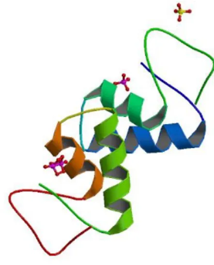 Figure 2 viscotoxin A3 3D structure, (Debreczeni et al., 2003, PDB code 10KH) 