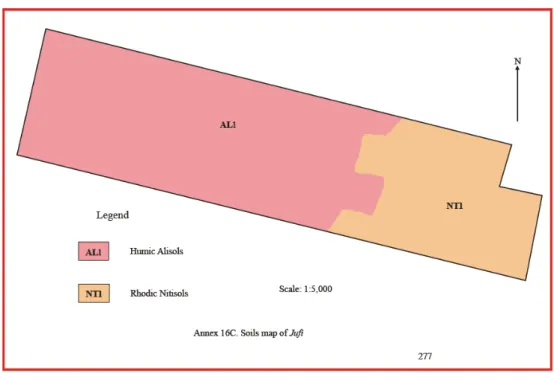 Figure 4 s oil map of Jufi plantation site (Source: Zerfu, 2002). 