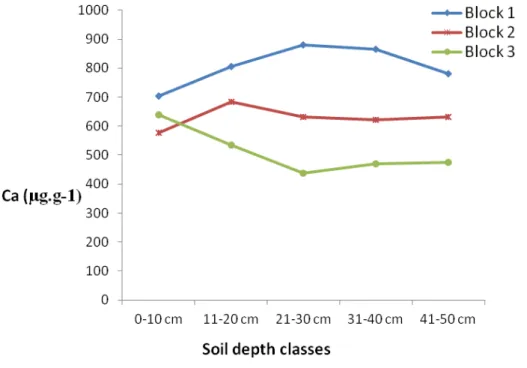 Figure 12 Calcium content across depth at Jufi E. camaldulensis plantation sites. 