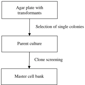 Figure 3-3: Establishing of a master cell bank