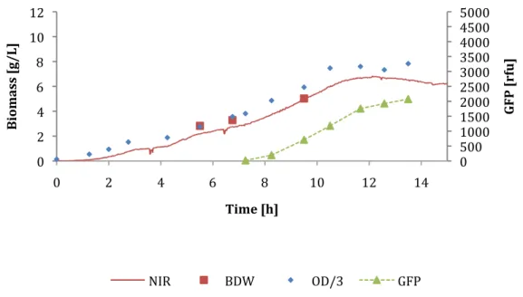 Figure   14   Cultivation   B:   Biomass   measured   with   OD   and   NIR,   biomass   dry   weight   and   GFP   
