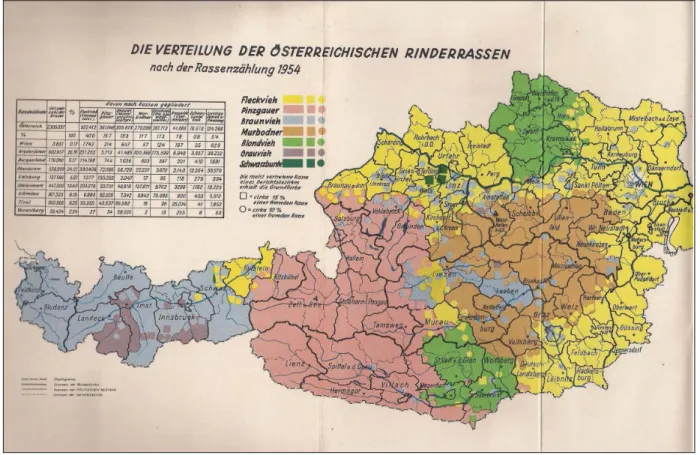 Abbildung 3: Die Verteilung der österreichischen Rinderrassen (Quelle: M ÜLLER  1958) 