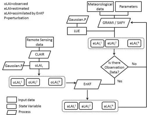 Figure 21. Assimilation of LAI observations in GRAMI and SAFY models by EnKF. 