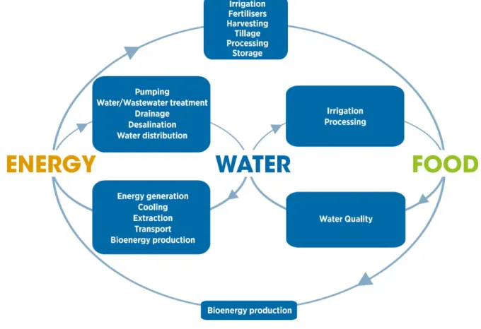 Figure 4: Schematic illustration of various elements of the water–energy–food nexus.