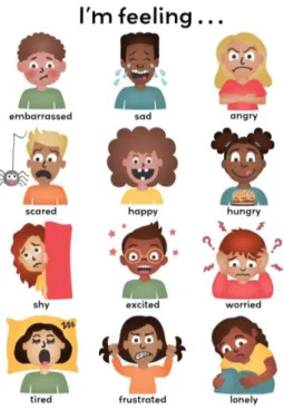 Figure 7: An  emotions chart 
