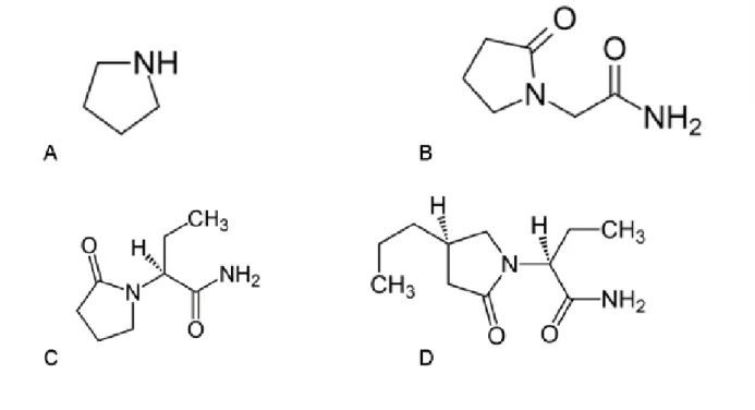 Abbildung 1. Strukturformeln von Pyrrolidon (A), Piracetam (B), Levetiracetam (C) und Brivaracetam (D)