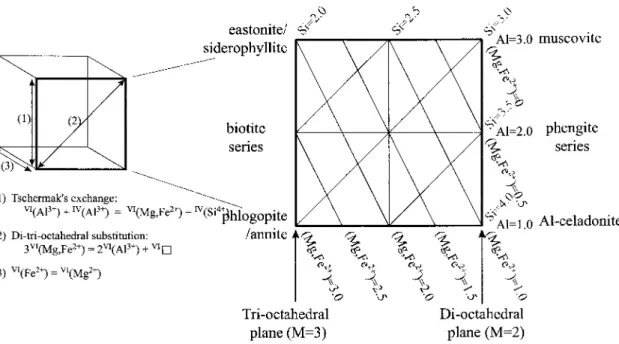 Fig. 2.4. Principal variations and exchange vectors for dioctahedral and trioctahedral potassic micas, with octahedral occupancy (M) and the planes of Si, Al and (Mg, Fc2+) atoms pfu (based on 11 oxygens), vl is octahedral and w tetra¬