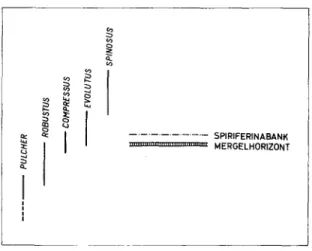 Fig. 1. Ausschnitt aus der Chronologie der wiehtigsten Ceratiten-Arten in Sudwestdeutschland nach R