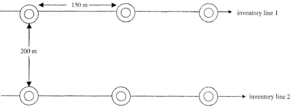 Figure 2.2 Layout of the sample plot.