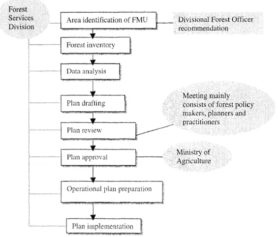 Figure 5.1 The present forest planning process.