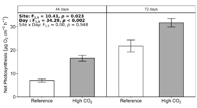 CO 2  site relative to the reference site (LMM: ‘Site’, F 1,5  = 10.41, p < 0.05) (Fig